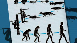 Timeline: TEORÍAS DE LA EVOLUCION