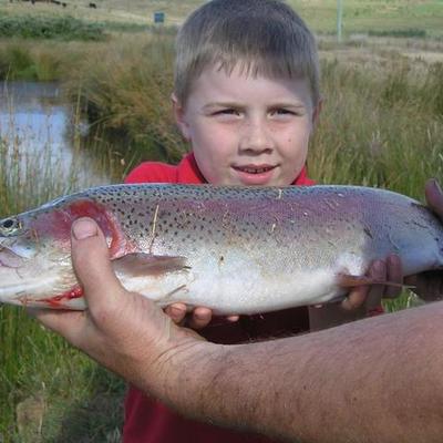 Timeline: Hardie's Life