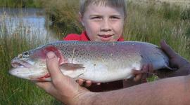 Timeline: Hardie's Life