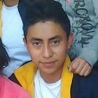 Timeline: Redes Sociales