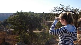 Timeline: What I Have Learned