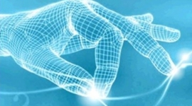 Timeline: Evolución de la TE (Diana M.)