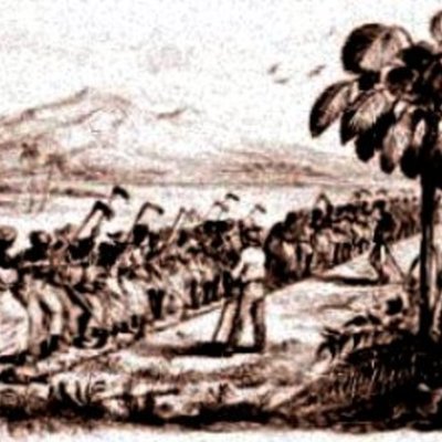 Timeline: estadistica