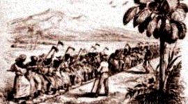 Timeline: estadistica