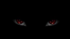 Timeline: Evolución de la TE