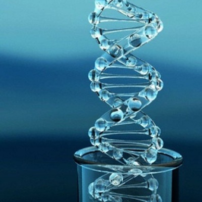 Timeline: Historia de la biología molecular