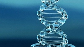 Timeline: Historia de la biología molecular