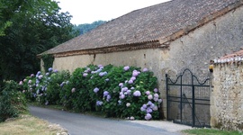 Timeline: Researching your Hobart House