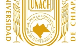 Timeline: linea de tiempo Interaccion Humano-Computadora (DELIA CONCEPCION R. FARELOS 8voB) A111348