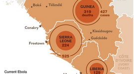 Timeline: 2014 Ebola Outbreak