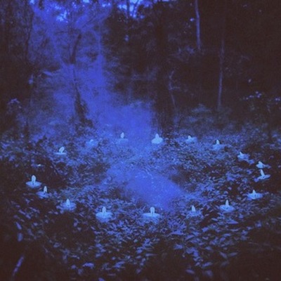 Timeline: Anthem Timeline