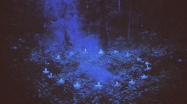 Timeline: Anthem Timeline