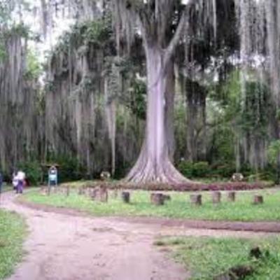 Timeline: SAN GIL, SANTANDER