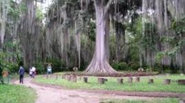 Timeline: SAN GIL, SANTANDER