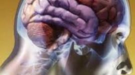 Timeline: ESCUELA Y ENFOQUES DE LA  ADMINISTRACIÓN