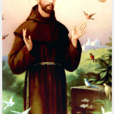 Timeline: Historia de las universidades