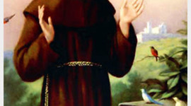 Timeline: Historia de las universidades