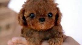 Timeline: 2013/2014 Reading Log