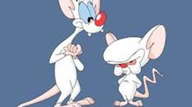 Timeline: Escuela y Enfoques de la Administración