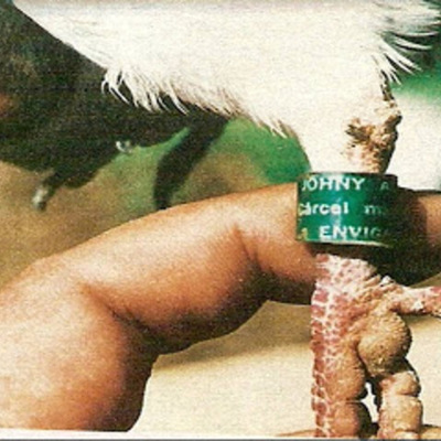 Timeline: Eventos Transcendentales de la Comunicación