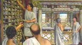 Timeline: Desarrollo de colecciones