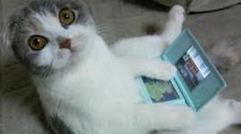 Timeline: HISTORIA CRONOLOGÍA DE LA COMPUTADORA