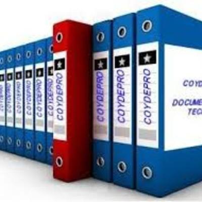 Timeline: EVOLUCIÓN Y DESARROLLO DE LA DOCUMENTACIÓN