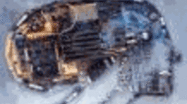 Timeline: Gpo 149A ATC_Ahtziri Cruz Jiménez