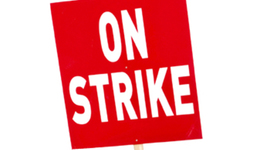 Timeline: ethan pages