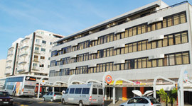 Timeline: Origens da Bioética