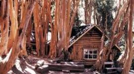 Timeline: Historia de la fotografía