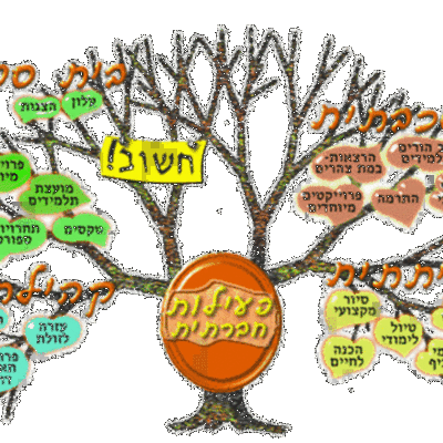 Timeline: פעיליות חברתיות בבית הספר 2014