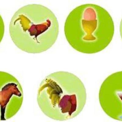 Timeline: Miranda Coq-tail Uvg