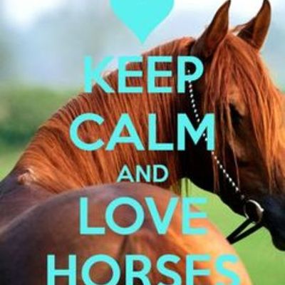 Timeline: Elizabeth colley