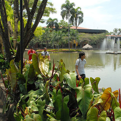Timeline: franciscanismo historia de las universidades