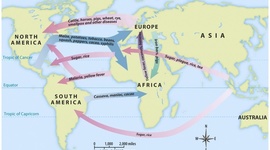 Timeline: Six Degrees of Separation: Columbian Exchange