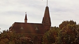 Timeline: Jenna_F_PSY313