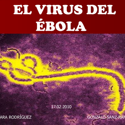 Timeline: Brotes históricos de Ébola