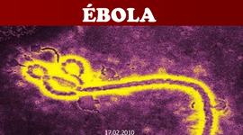 Timeline: Brotes históricos de Ébola