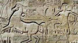 Timeline: Historia del Diseño Gráfico