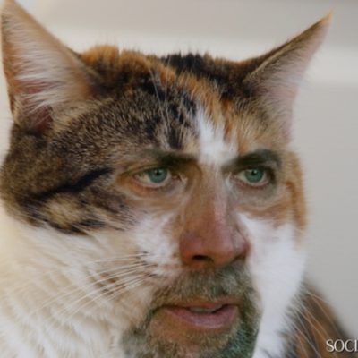 Timeline: World History- Block 2