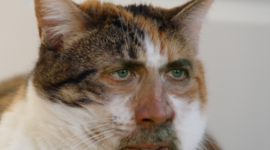 Timeline: World History- Block 2