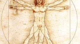 Timeline: Origens da Bioética