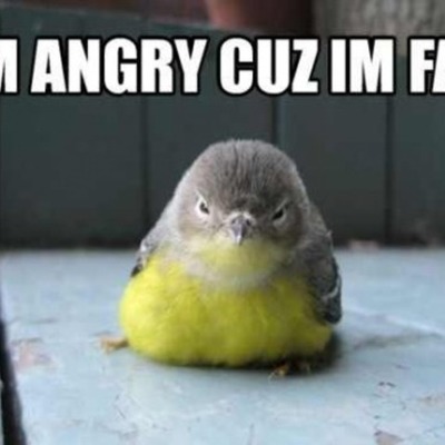 Timeline: History of Ireland