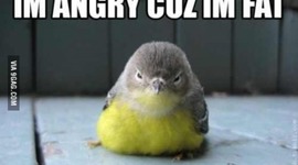 Timeline: History of Ireland