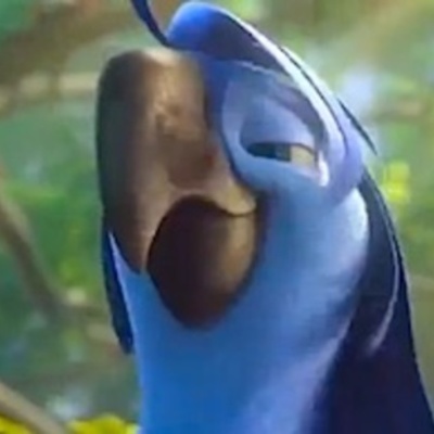 Timeline: Jo's timeline