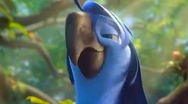 Timeline: Jo's timeline