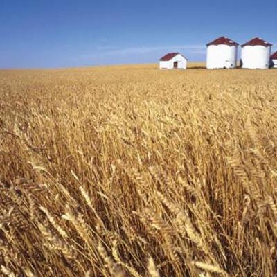 Timeline: Agriculture Timeline