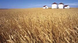 Timeline: Agriculture Timeline