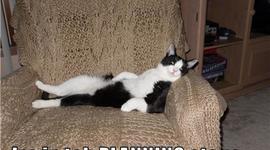 Timeline: Computer History Trial Timeline